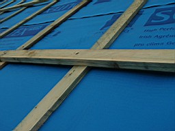 carrowcrory studio-4012.JPG